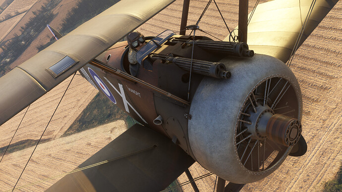 55120510072_f25a11ee36_4k