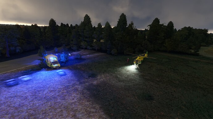 Microsoft Flight Simulator 4_12_2023 00_17_11