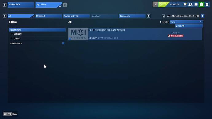 Microsoft Flight Simulator 2024-2026_02_11-19-06-21