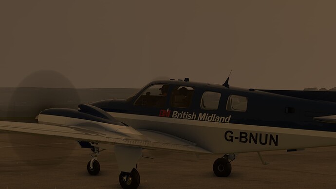 2025-02-19 12_17_48-Microsoft Flight Simulator - 1.38.2.0