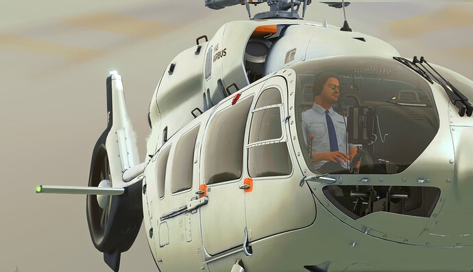 Microsoft Flight Simulator 31_12_2021 10_05_26