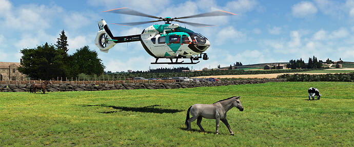 Microsoft Flight Simulator Screenshot 2026.02.21 - 13.04.37.79