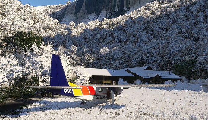 T004_NZ