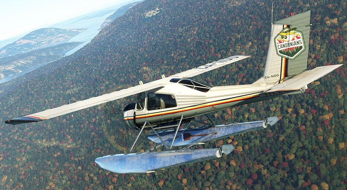 MSFS_PZL104Wilga_95.jpeg