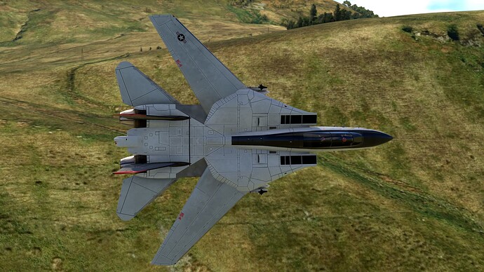 Microsoft Flight Simulator 20_05_2024 17_00_20