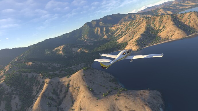 Microsoft Flight Simulator 2024-2025_07_11-16-10-43
