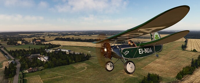 Flying Flea (Poul du Ciel)