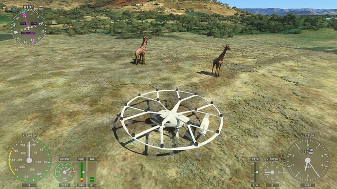 Microsoft Flight Simulator