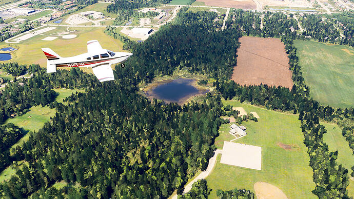 Microsoft Flight Simulator 2024-2026_06_13-15-10-13