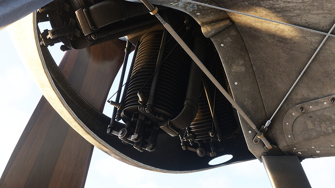 54696383092_8014c03a42_k