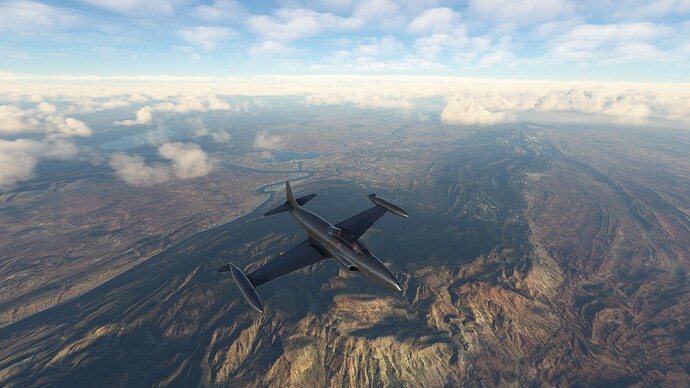 Microsoft Flight Simulator-2025_03_03-17-47-17