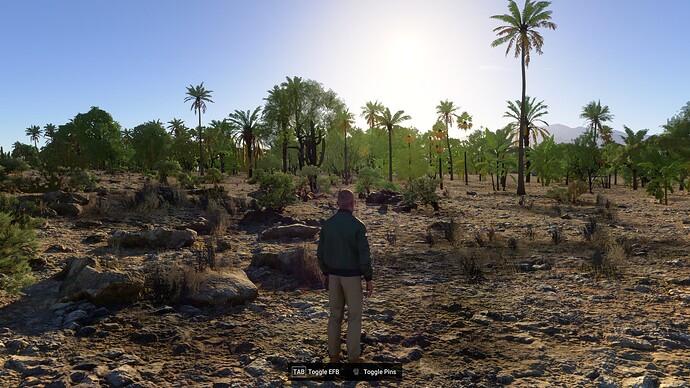 AZ High Mesa (3AZ8) to Kearny (E67) 3