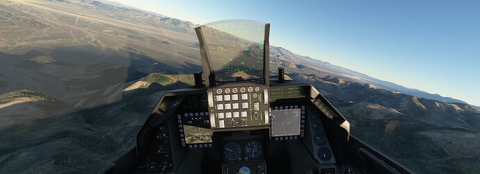 Microsoft Flight Simulator 8_20_2024 4_12_02 PM