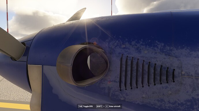FlightSimulator2024 2025-07-11 21-59-19_794