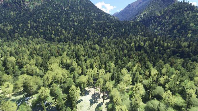 Captura de pantalla 2026-01-07 195330