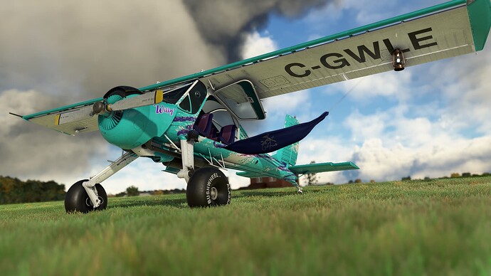 Microsoft_Flight_Simulator_Screenshot_2022.10.25_-_22.35.27.97_2