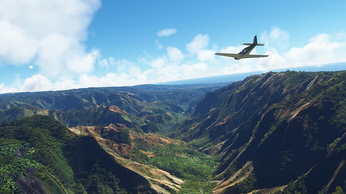 Microsoft Flight Simulator 3_12_2022 5_22_31 PM