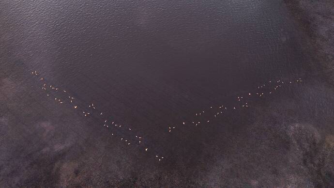 Microsoft Flight Simulator Screenshot 2021.08.22 - 01.36.40.18