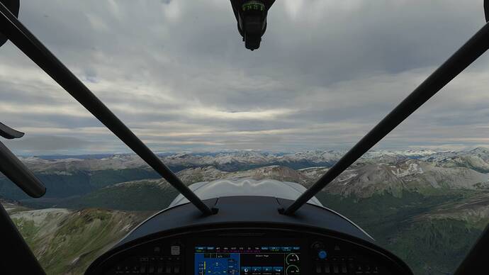Patagonia bush trip
