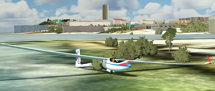 Bush flight.
