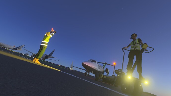 Microsoft Flight Simulator 2024-2025_07_17-21-24-45