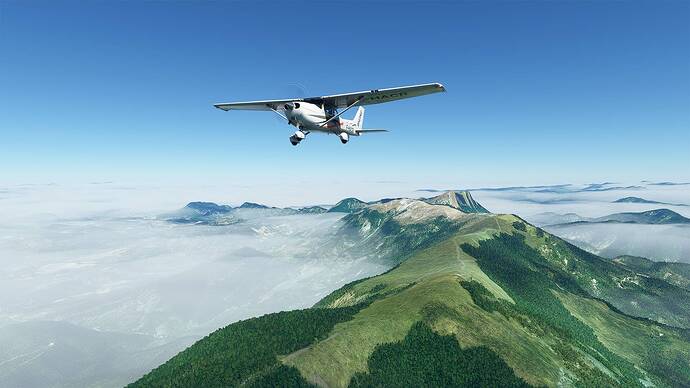Microsoft Flight Simulator 2021-05-27 16_03_25