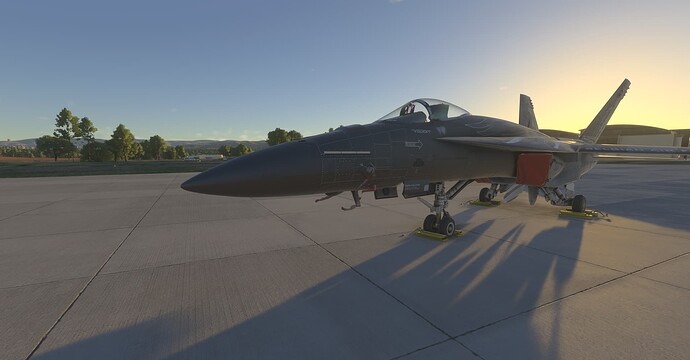 Microsoft Flight Simulator 2024-2025_06_01-09-58-02 1