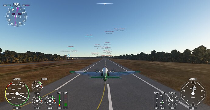 Microsoft Flight Simulator Screenshot 2022.02.04 - 20.15.56.87