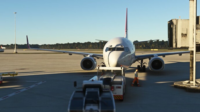 FlightSimulator 2023-06-15 19-26-25