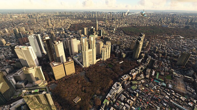 Microsoft Flight Simulator - 1.21.13.0 28_11_2021 10_46_59