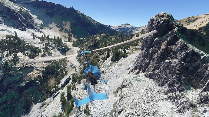 Microsoft Flight Simulator 2024-2025_07_29-20-08-43