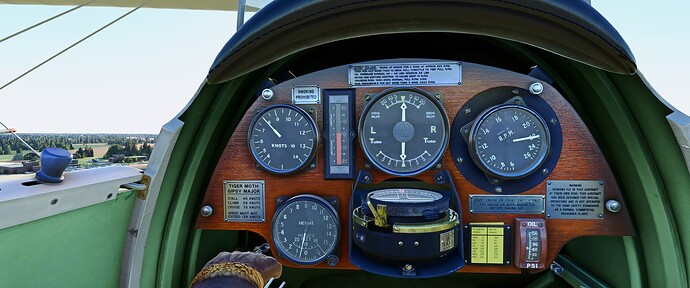 Tiger Moth_01