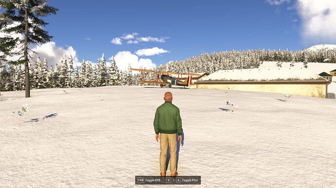 Bug - Curtiss Jenny Decal Texture (white)