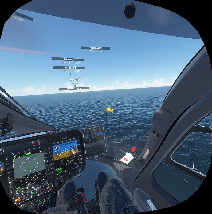 FS2020_20220612_202835_NIS_85_20_L