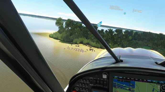 Microsoft Flight Simulator 30_07_2021 21_18_06