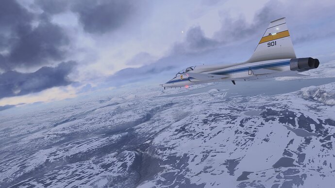 MicrosoftFlightSimulator2024_20251209083715_.jpg.db8acffd879d09cdf4cdf6d04340f67a