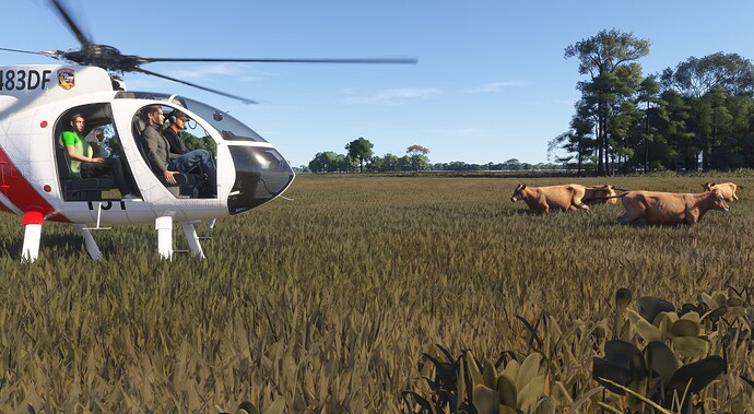 Microsoft Flight Simulator 2024 Screenshot 2025.01.27 - 00.09.26.100