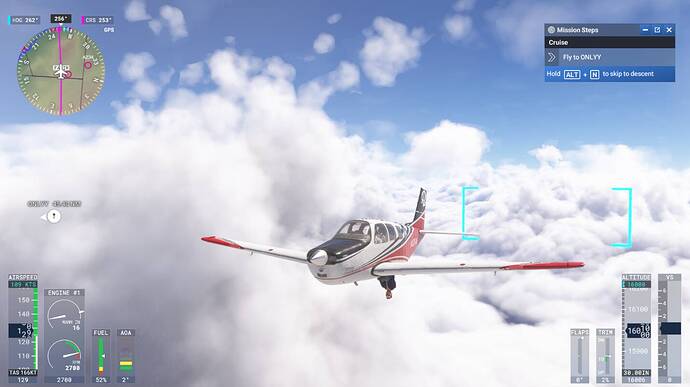 PassengerOutsideBeechcraft