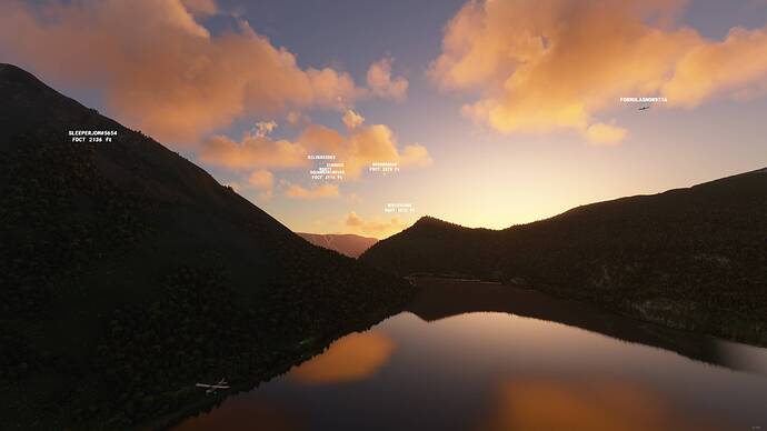 Microsoft Flight Simulator - 1.17.3.0 17.07.2021 21_53_36