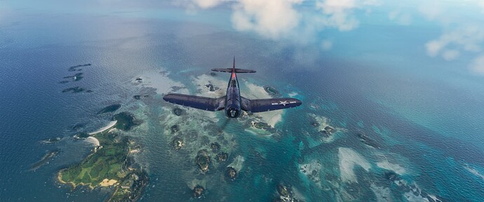 Microsoft Flight Simulator 2_23_2025 10_05_21 AM