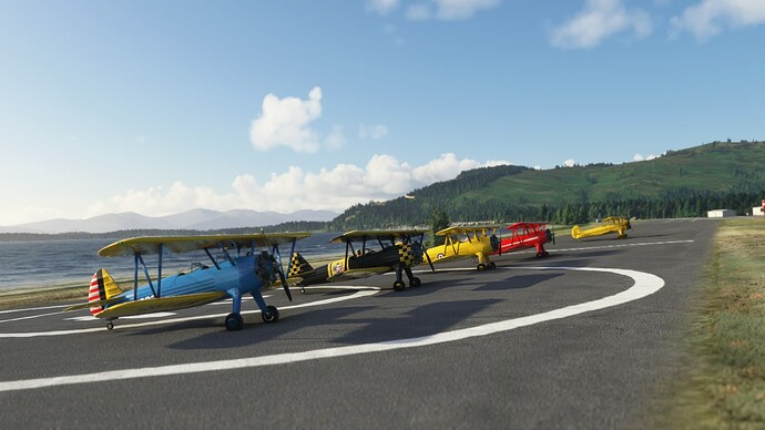 Microsoft Flight Simulator (377)