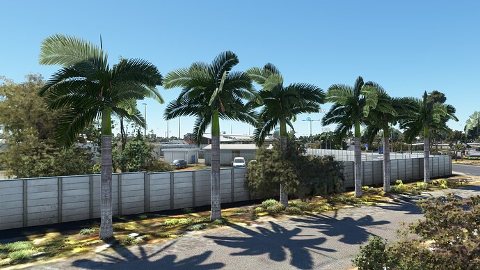 Microsoft Flight Simulator-2023_11_05-04-55-00