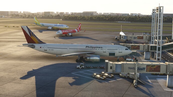 Microsoft Flight Simulator 13_01_2024 20_14_27