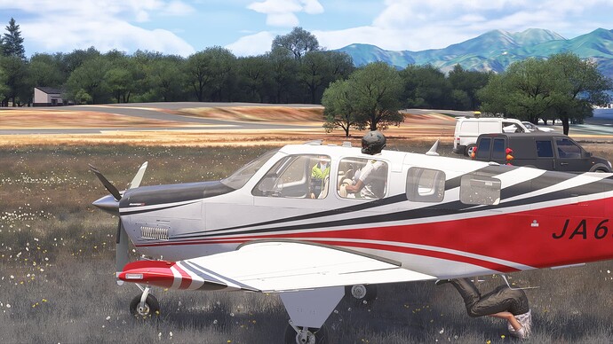 Microsoft Flight Simulator 2024 - 1.2.11.0 12.01.2025 03_45_37