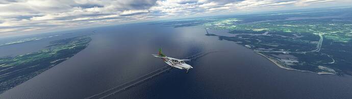 Microsoft Flight Simulator 8_15_2021 11_31_55 AM