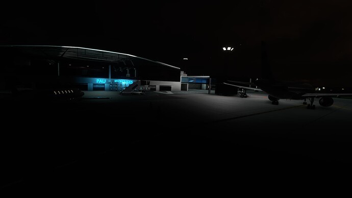 Microsoft Flight Simulator Screenshot 2021.12.27 - 21.24.02.21