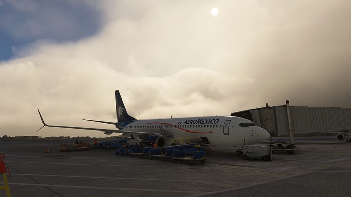 2024-12-28 22_29_02-Microsoft Flight Simulator - 1.38.2.0