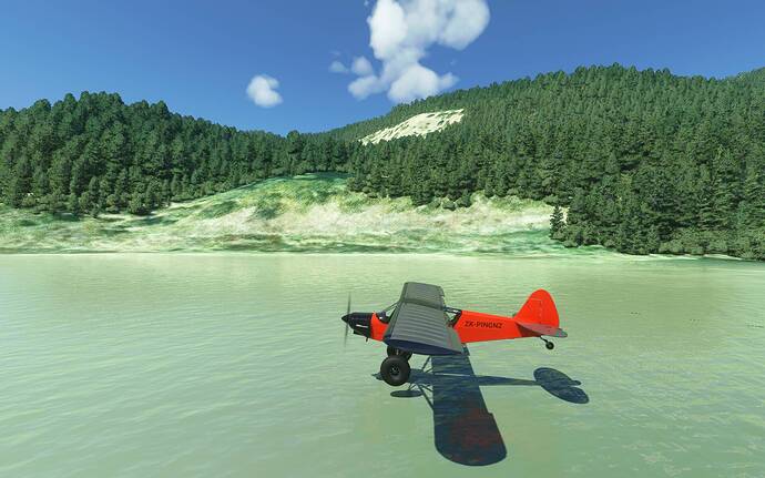 Microsoft Flight Simulator 17_08_2021 9_58_21 p.m.