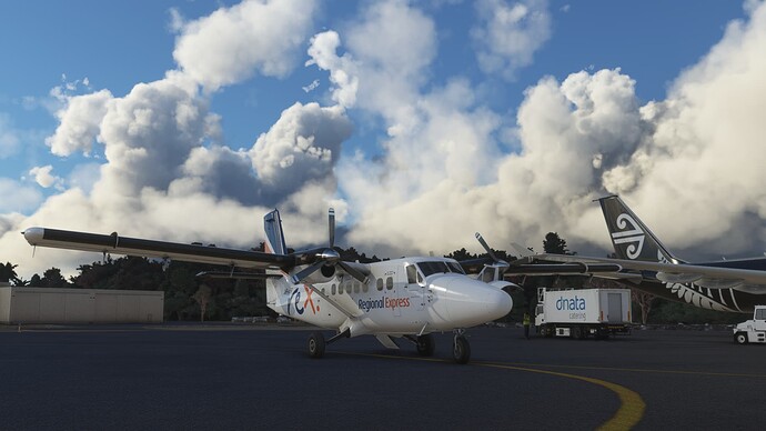 Microsoft Flight Simulator Screenshot 2022.02.01 - 13.03.26.45