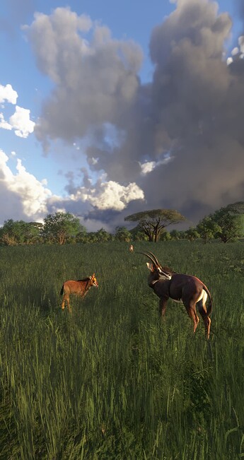 2025-01-04-17-07-43_ret